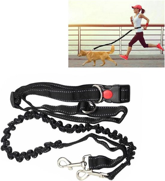 Hondenriem - Riemen - Looplijn met Heupriem - Hardlopen en Wandelen - Huisdier kitten - Trainingslijn