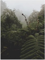 Poster (Mat) - Groene Tropische Planten bij Mistige Lucht - 60x80 cm Foto op Posterpapier met een Matte look