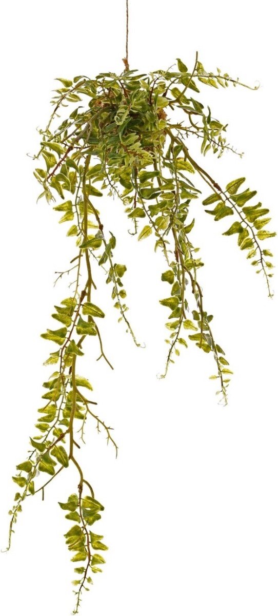 Kokodama - Kunstplant - Hangplant - Varen - Varenhanger 'Green Wave' op Mosbol hoogte 60cm