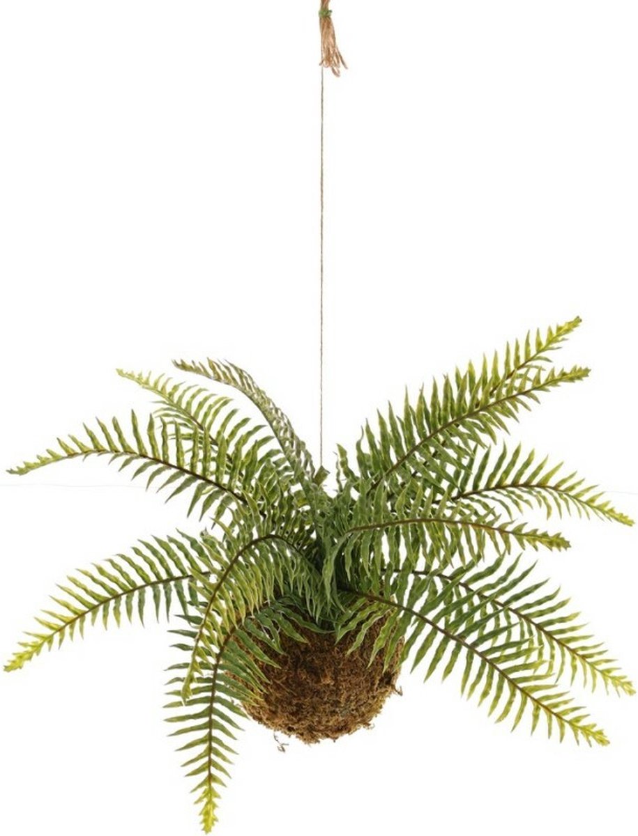 Kokodama - Kunstplant - Hangplant - Varen - Varenhanger op Mosbol hoogte 35cm