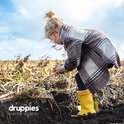 Meisje met bril en gele laarzen in een veld, kijkend naar aarde in haar handen.