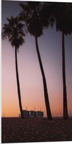 PVC Schuimplaat - Palmbomen op Strand met Roze Gele Lucht - 50x100 cm Foto op PVC Schuimplaat (Met Ophangsysteem)
