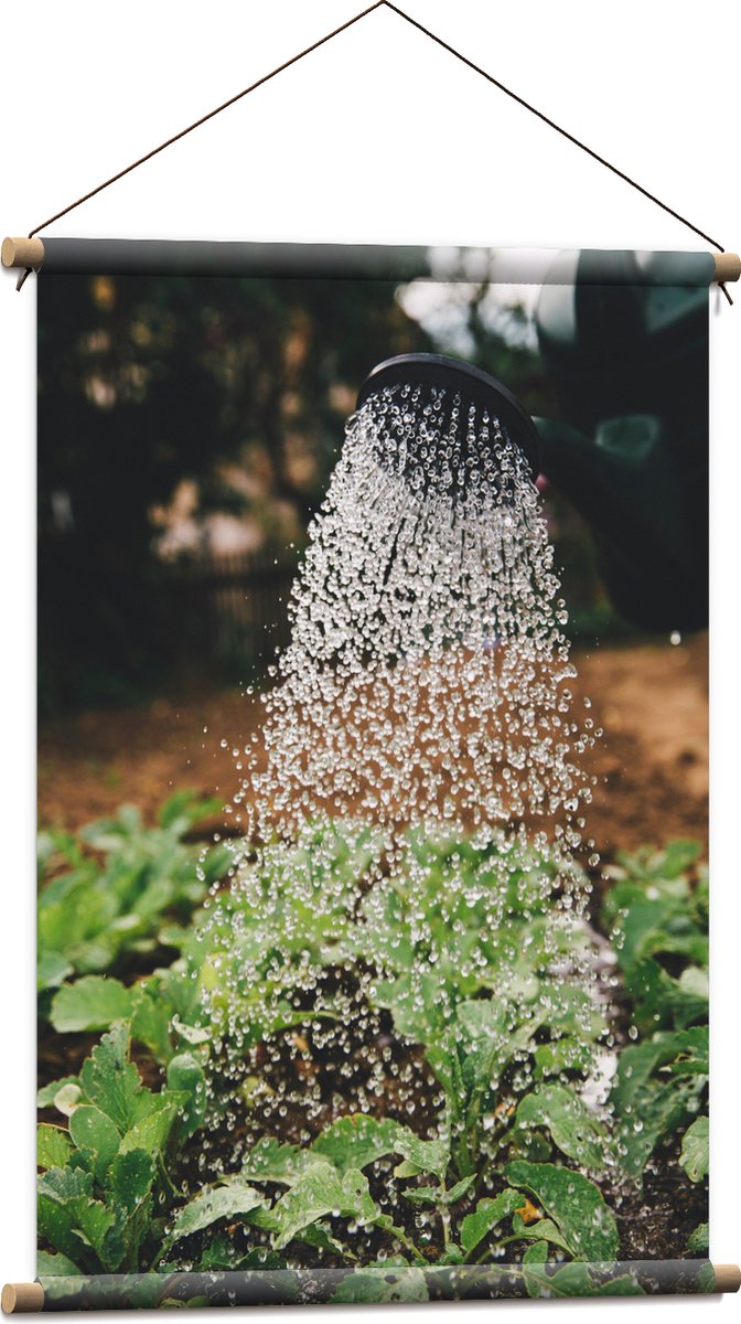 Textielposter - Planten Water Geven met Gieter - 60x90 cm Foto op Textiel