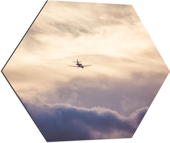 Dibond Hexagon - Vliegtuig tussen de Wolken - 70x60.9 cm Foto op Hexagon (Met Ophangsysteem)