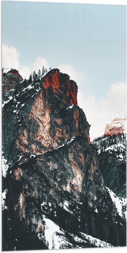 WallClassics - Vlag - Bergtoppen met Sneeuw - 50x100 cm Foto op Polyester Vlag
