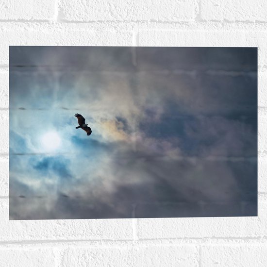 WallClassics - Muursticker - Vliegende Roofvogel in de Lucht - 40x30 cm Foto op Muursticker