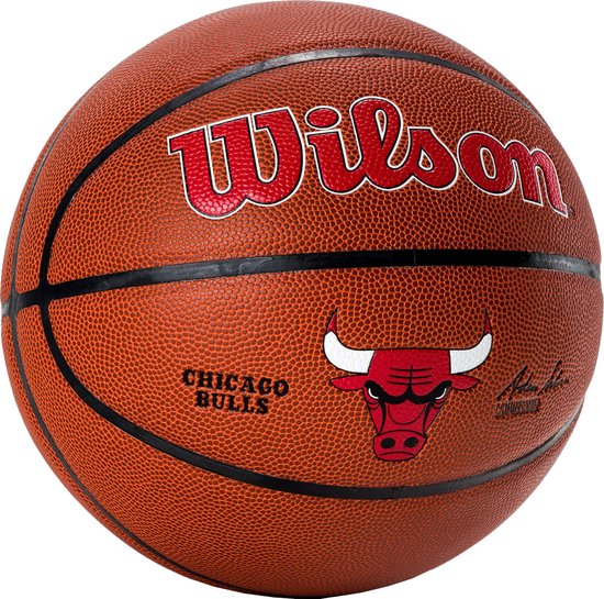 Ballon de Basketball Wilson NBA Team Alliance - Charlotte Hornets WILSON
