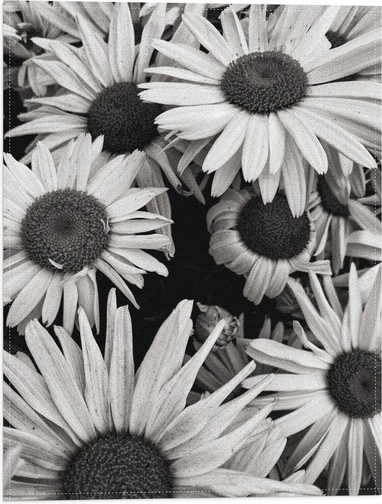 WallClassics - Vlag - Zwart Wit Foto van Zonnebloemen - 30x40 cm Foto op Polyester Vlag