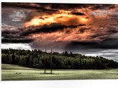 WallClassics - PVC Schuimplaat- Zon achter Regenwolken boven Bos - 75x50 cm Foto op PVC Schuimplaat