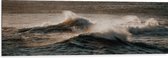 WallClassics - Dibond - Golven in de Zee - 120x40 cm Foto op Aluminium (Wanddecoratie van metaal)