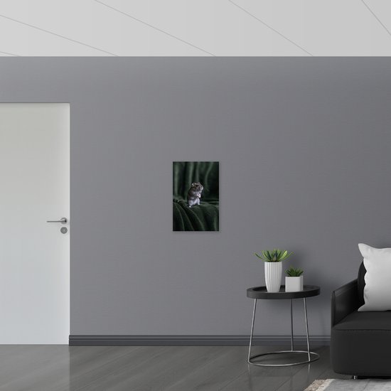 WallClassics - Dibond - Jolie souris sur le canapé - 40x60 cm Photo sur aluminium (Décoration murale en métal)