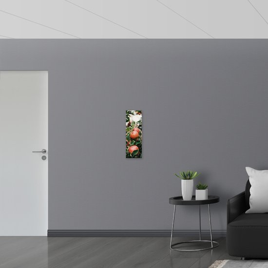 WallClassics - Vlag - Appels in de Boom - 20x60 cm Foto op Polyester Vlag