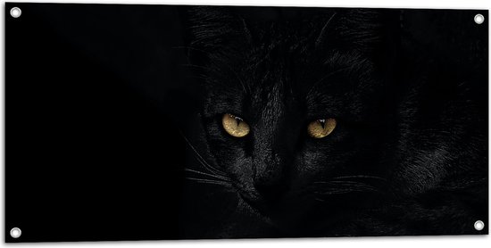 WallClassics - Tuinposter – Zwarte Poes met Zwarte Achtergrond - 100x50 cm Foto op Tuinposter (wanddecoratie voor buiten en binnen)