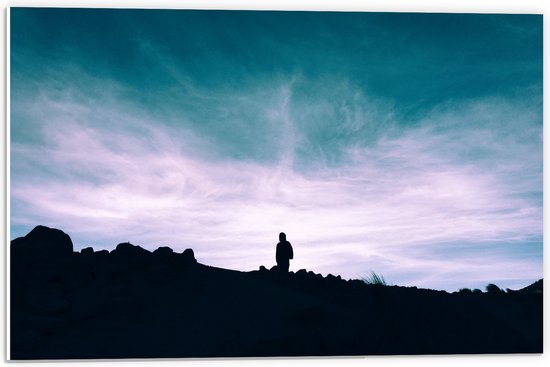 WallClassics - PVC Schuimplaat - Silhouette van Man op een Berg - 60x40 cm Foto op PVC Schuimplaat (Met Ophangsysteem)