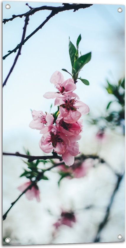 WallClassics - Tuinposter – Tak met Roze Bloementjes - 50x100 cm Foto op Tuinposter (wanddecoratie voor buiten en binnen)