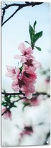 WallClassics - Tuinposter – Tak met Roze Bloementjes - 40x120 cm Foto op Tuinposter (wanddecoratie voor buiten en binnen)