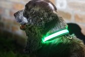 IA LED Light Up Pet Collar - Hondenhalsband - S/M - 31-41cm - Groen