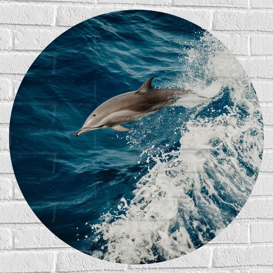 WallClassics - Cercle Muursticker - Dauphin sautant dans la mer ondulée - 80x80 cm Photo sur Muursticker