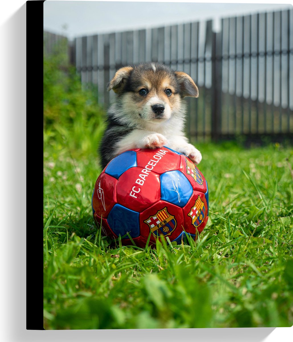 Canvas - Hondje Speelt met een Voetbal - 30x40 cm Foto op Canvas Schilderij (Wanddecoratie op Canvas)