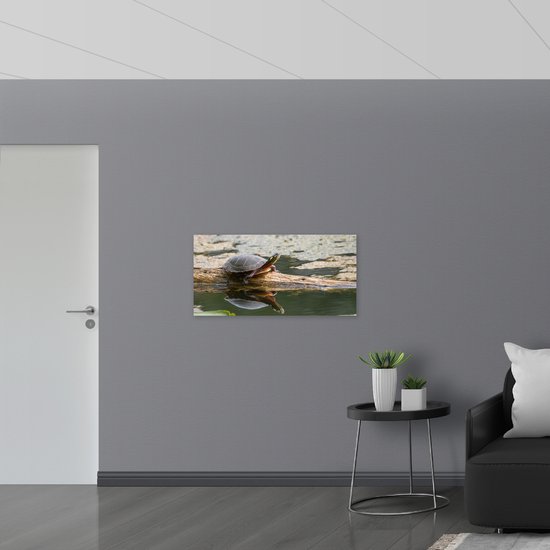 WallClassics - Dibond - Schildpad op Boomstam in Groen Water - 100x50 cm Foto op Aluminium (Wanddecoratie van metaal)