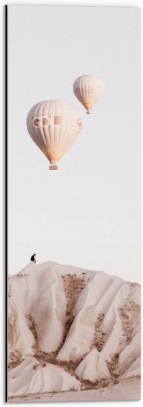 WallClassics - Dibond - Luchtballonnen boven Bergen - 20x60 cm Foto op Aluminium (Wanddecoratie van metaal)