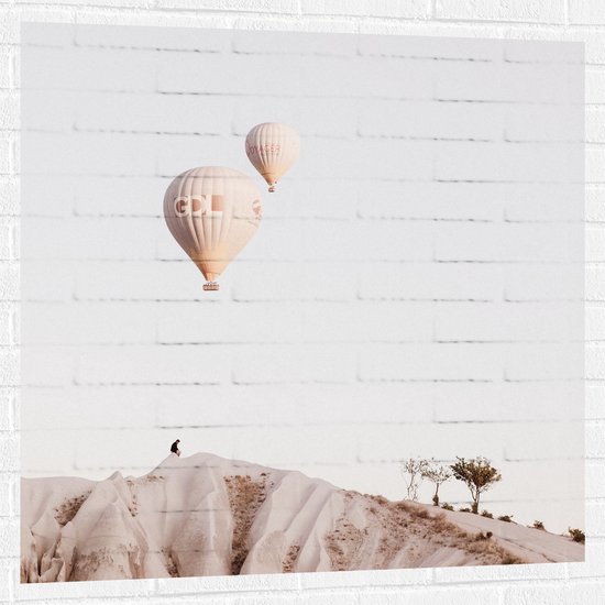 WallClassics - Muursticker - Luchtballonnen boven Bergen - 100x100 cm Foto op Muursticker