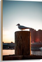 WallClassics - Bois - Mouette sur poteau - 60x90 cm - Épaisseur 9 mm - Photo sur bois (avec système de suspension)