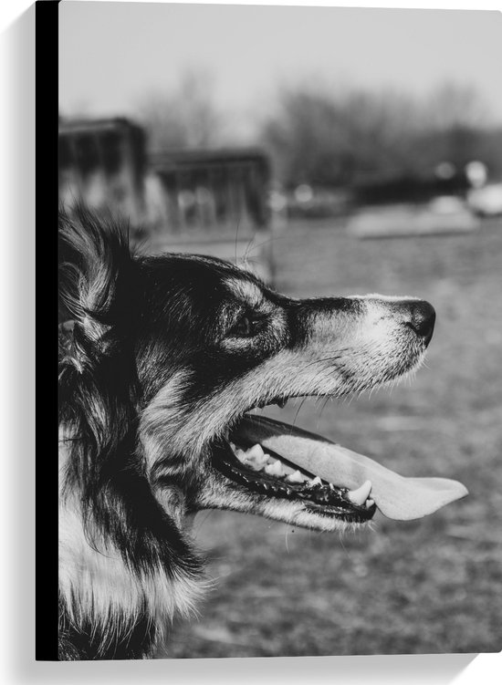 WallClassics - Canvas - Opzij kijkende Hond met Tong uit Mond - Zwart Wit - 40x60 cm Foto op Canvas Schilderij (Wanddecoratie op Canvas)