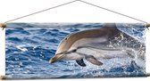 Textielposter - Springende Tevreden Dolfijn - 90x30 cm Foto op Textiel