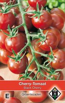 2 stuks Cherry Tomaat Black CherryVan Hemert & Co