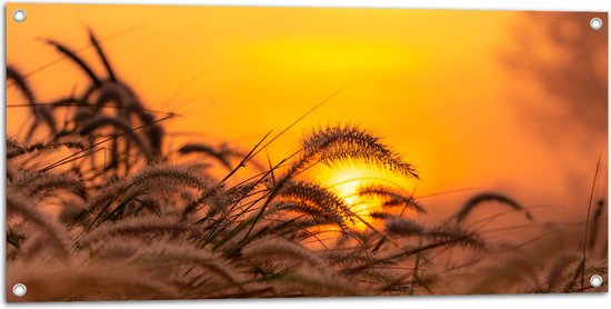 Tuinposter – Stappel Grassen bij Felkleurige Zonsondergang in het Oranje - 100x50 cm Foto op Tuinposter (wanddecoratie voor buiten en binnen)