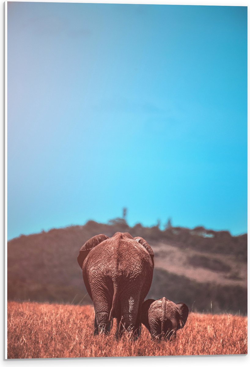 PVC Schuimplaat- Moeder en Baby Olifant tussen het Hoge Gras - 40x60 cm Foto op PVC Schuimplaat
