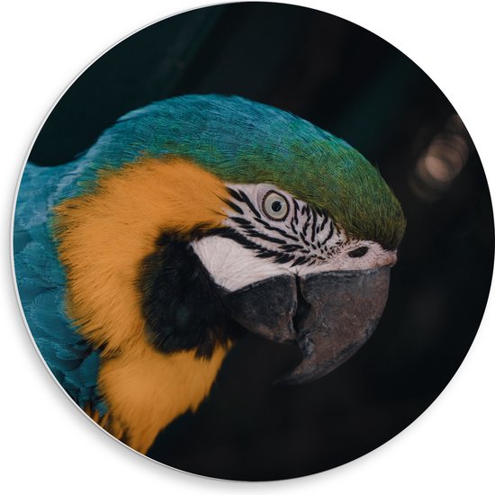 WallClassics - PVC Schuimplaat Muurcirkel - Blauw met Gele Vogel - Ara - 50x50 cm Foto op Muurcirkel (met ophangsysteem)
