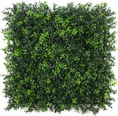 Summer Buxus | FOLY - 50 x 50 cm - Green wall voor decoratief binnen en buiten gebruik - Buxus kunsthaag - 5j UV garantie - JIVANA