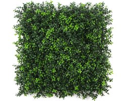 Summer Buxus | FOLY - 50 x 50 cm - Green wall voor decoratief binnen en buiten gebruik - Buxus kunsthaag - 5j UV garantie - JIVANA