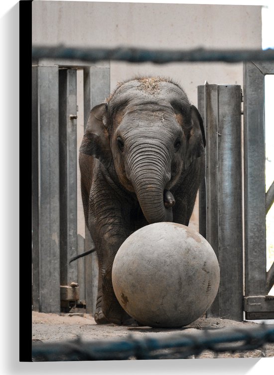 Tableau Bébé Éléphant