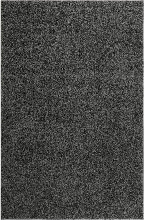 Esprit - Hoogpolig tapijt - #Whisper Shag - 100% Polypropyleen - Dikte: 30mm