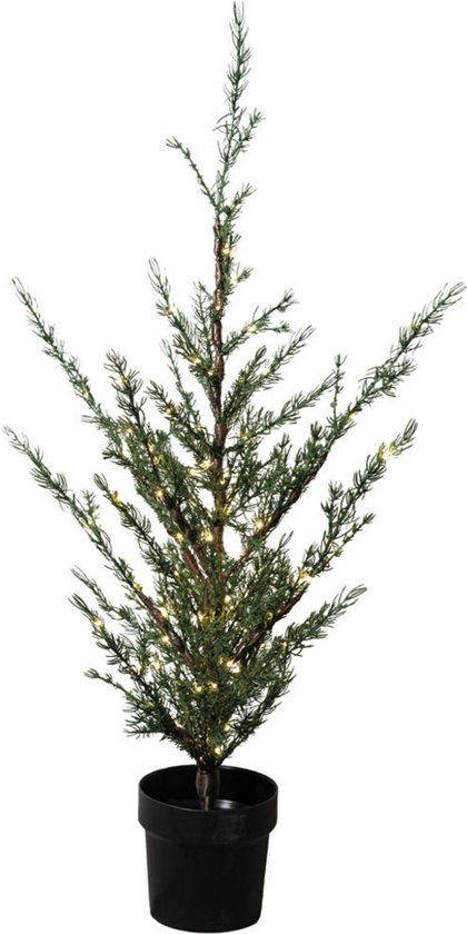 Sirius Kerstboom Kleine