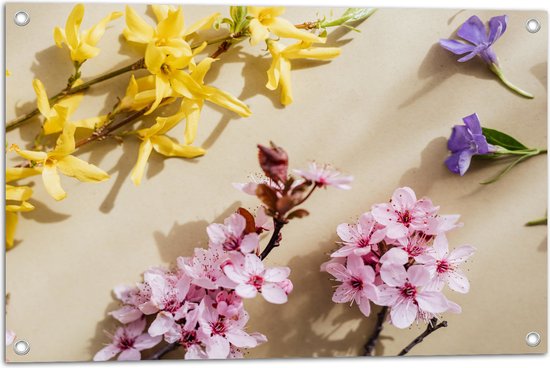 Tuinposter – Geel, Roze en Paarse Bloemen in Verschillende Soorten - 75x50 cm Foto op Tuinposter (wanddecoratie voor buiten en binnen)