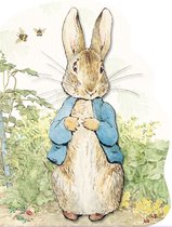 Pieter Konijn Dekbedovertrek - eenpersoons met 1 kussensloop - Peter Rabbit  | bol.com