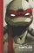 Teenage Mutant Ninja Turtles The IDW Co