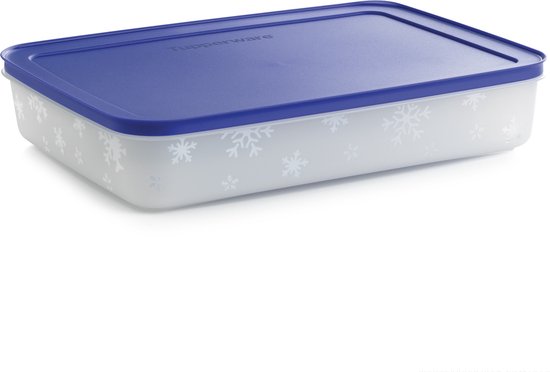 Boîte igloo Tupperware , 2,25 litres allongée (modèle bas)