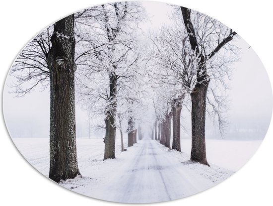 PVC Schuimplaat Ovaal - Bomen langs Besneeuwd Bospad in Sneeuw Landschap - 80x60 cm Foto op Ovaal (Met Ophangsysteem)