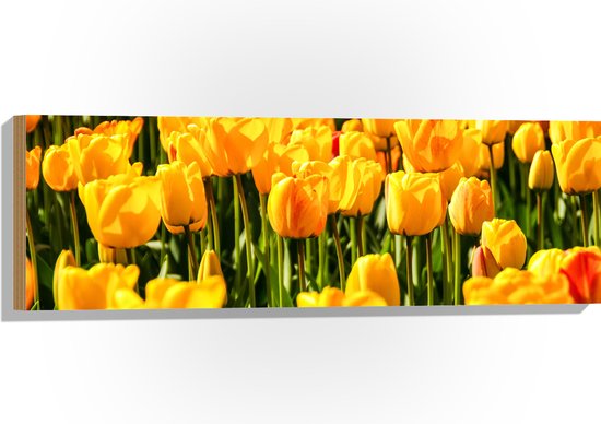 Hout - Dichtbegroeid Geel Bloemenveld - 90x30 cm - 9 mm dik - Foto op Hout (Met Ophangsysteem)