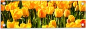 Tuinposter – Dichtbegroeid Geel Bloemenveld - 60x20 cm Foto op Tuinposter (wanddecoratie voor buiten en binnen)
