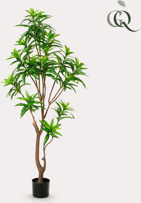 Dracaena - Dragonnier - 155 cm - plante artificielle