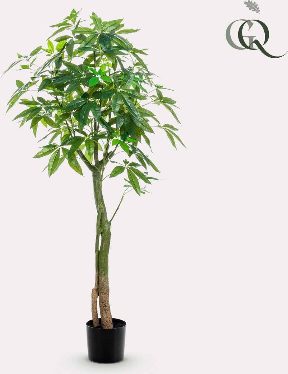 Kunstplant - Pachira Aquatica - Geldboom - 150 cm