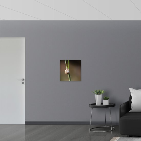 WallClassics - Panneau de mousse PVC - Escargot brun sur une branche verte étroite - Photo 50 x 50 cm sur panneau de mousse PVC