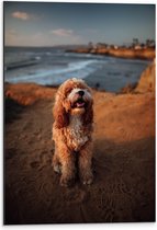 WallClassics - Dibond - Lachende Hond op Berg aan het Water - 40x60 cm Foto op Aluminium (Wanddecoratie van metaal)