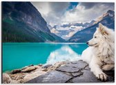 WallClassics - Dibond - Witte Hond liggend bij Bergen en Water - Samojeed - 40x30 cm Foto op Aluminium (Met Ophangsysteem)